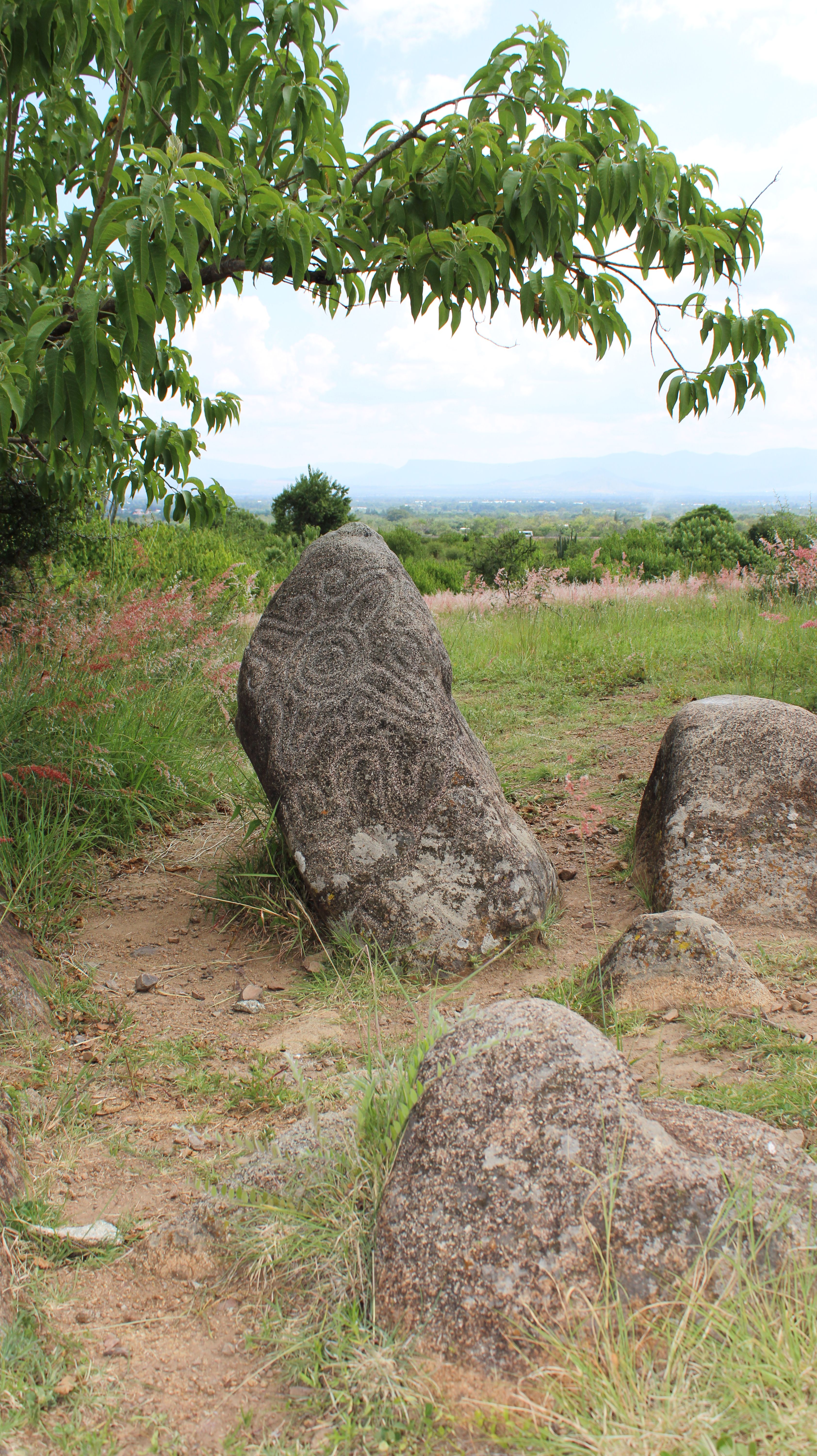 zona arqueológica de Jalieza
